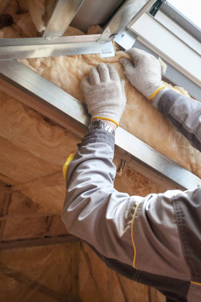 Best Specialty Insulation in Pine Island, TX