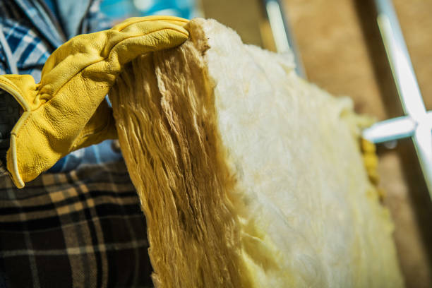 Best Insulation Maintenance and Repair in Pine Island, TX